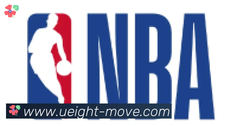 U8国际合作伙伴