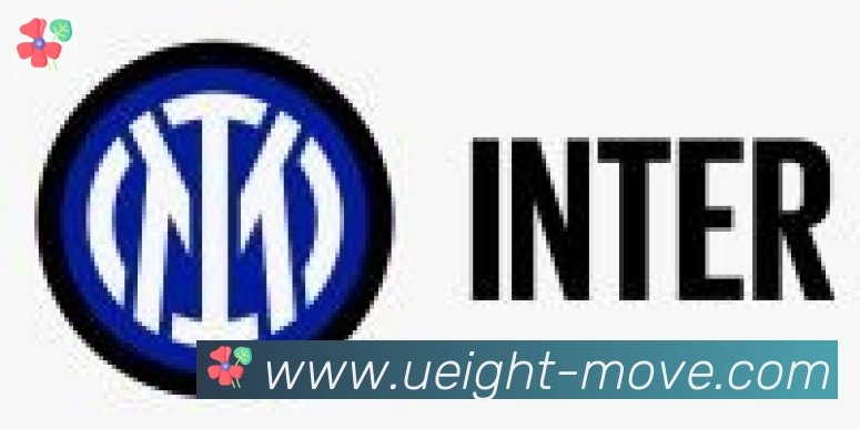 U8国际合作伙伴