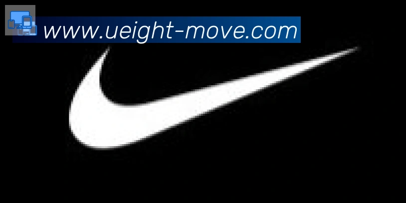 U8国际合作伙伴