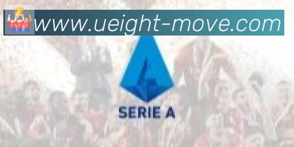 U8国际合作伙伴